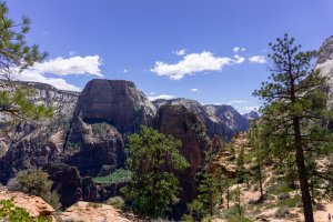 20210428ZionNP_D1090.jpg